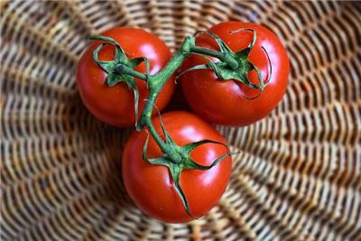 美国“番茄危机”悄然而至：高温干旱已致农作物减产