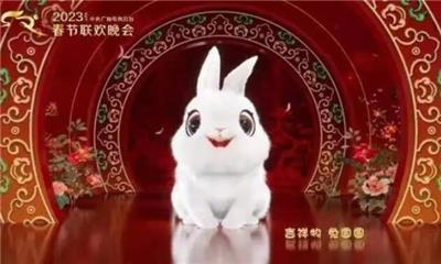 中央广播电视总台《2023年春节联欢晚会》以“欣欣向荣的新时代中国，日新月异的更美好生活”为主题